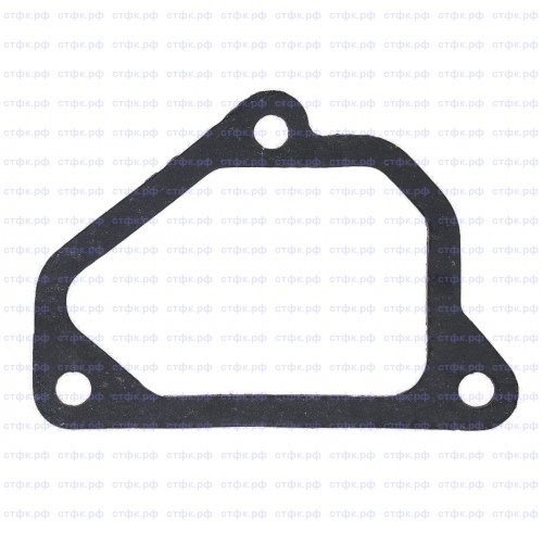 Прокладка патрубка объединительного